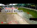 🔥🔥GANAS nya Ikan KOLAM !!! Sampai Pecah Ring Rod DiKerjakan