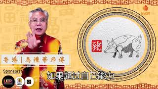 2019己亥年十二肖運程香港馬禮華博士(羅華)道長為你講解生肖屬猪於2019年的運程。