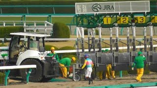 現地映像、メイショウテムズが落馬した空馬の後ろを通って勝利。