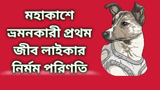 মহাকাশে ভ্রমনকারী প্রথম জীব লাইকার নির্মম পরিণতি।। Laika the First Dog in Space ।। Mohakash o Biggan