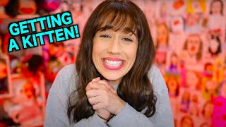Getting A Kitten!