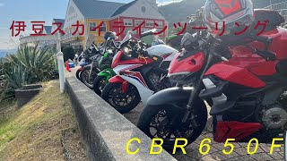 （私だけ・・・）初心者大型ライダー　伊豆スカイラインツーリング