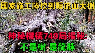 國家施工隊挖到顆流血大樹，神秘機構749局揭秘：不是樹，是龍脈 #大案紀實 #刑事案件 #大案要案