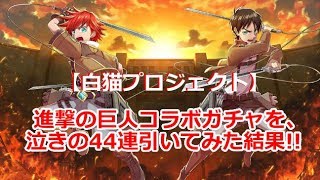 【白猫プロジェクト】進撃の巨人コラボガチャ、リベンジで44連引いてみた結果!!