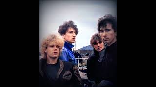 U2 : Tomorrow 1981 #shortsabba #ireland