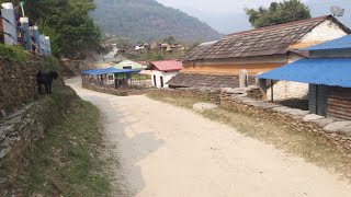 मादी गाउँपालिका |  गुराँस टोल | Madi Rural Municipality| याङ्गजाकोट |Kaski | Village