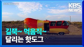 [오늘의 영상] 미국 전역 일주하는 거대 핫도그의 정체는? / KBS  2023.01.10.