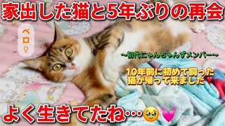 もう一生会えないと思ってた猫が家に帰って来た…😭‼️