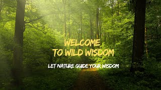 Welcome to Wild Wisdom - Let Nature Guide Your Wisdom