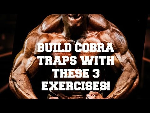 Build Cobra Traps With These 3 Exercises! Build Cobra Traps With These 3 Exercises!