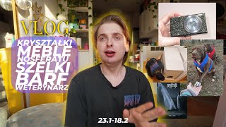 POV: Kupujesz szafkę na kuwetę, szelki dla psów i kleisz kryształki na aparat | vlog s02e07