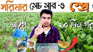 সরিষার সার সেচের আগে ও পরে|৫০ দিনের সরিষার স্প্রে|Sorisha cas er sar|সরষে গাছ মরা রোগের প্রতিকার