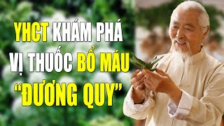 YHCT khám phá vị thuốc bổ máu mang tên Đương quy