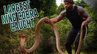 MOST DANGEROUS REPTILES IN INDONESIA | THE REAL TARZANN