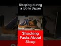 Sleeping during a job in Japan  #shorts