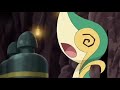 Snivy compilation