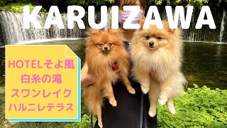 【ポメラニアン】愛犬と軽井沢に行きました（後編）HOTELそよ風▶︎白糸の滝▶︎スワンレイク▶︎ハルニレテラス Vol25