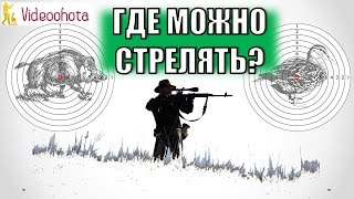 Где можно стрелять? Videoohota