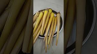 Today healthy snacks பனங்கிழங்கு. 👍👍👍👍👍👍👍👍👍👍👍