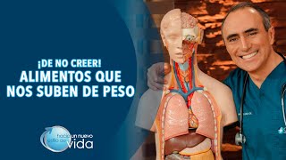 ¡DE NO CREER! ALIMENTOS QUE NOS SUBEN DE PESO - HACIA UN NUEVO ESTILO DE VIDA
