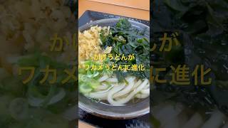 【うどん】こがね製麺所でワカメうどん！#讃岐うどん#セルフうどん#かけうどん#ワカメうどん#ちくわ天 #飯テロ#こがね製麺所