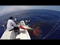 2017 ep 1 violent ahi strike now in 1080 fishing hawaii