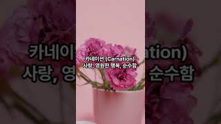 꽃말이 아름다운 꽃 TOP 10