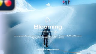 Plugin Blooming for DaVinci Resolve