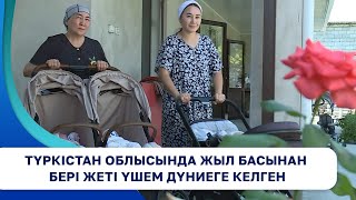 Түркістан облысында жыл басынан бері жеті үшем дүниеге келген