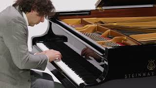 Piotr Dylewski - Wróble i sikorki (Sparrows and tit) - Marek Szlezer piano