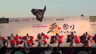 乱痴気　２０１５泉州 YOSAKOI ゑぇじゃないか祭り　メイン会場