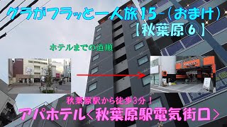 グラフラ15-（おまけ）ホテルまでの道順【アパホテル秋葉原駅電気街口】