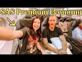 11-Hour Flight in SAS Airlines Premium Economy: San Fran to Copenhagen