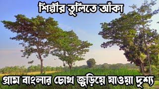 শিল্পীর তুলি দিয়ে আঁকা চোখ জুড়ানো গ্রামীণ দৃশ্য, এবং শীতের শাকসবজি|