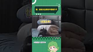 不在家的妈，上班的爸，怕挨打的它 #万万没想到 #猫咪的迷惑行为 #娱乐评论大赏#shorts