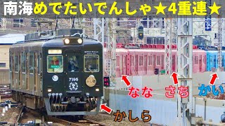 南海めでたいでんしゃ 夢の4編成連結！難波駅お披露目会(2021/12/25)