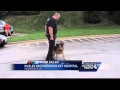 K-9 Blek recovering from injuries in fatal Route 30 crash