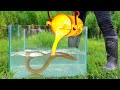 Experiment LAVA vs ELECTRIC EEL Underwater