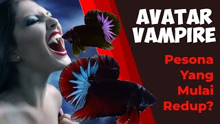 Ikan Cupang Avatar Vampire || Kalah Pesona dari Cupang Avatar Kalimaya?