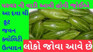 Jay Parivartan products | પરવર ની ખેતી |9909887736 | parvar |