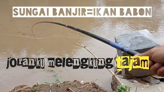 sensasi mancing ikan baung pakai joran tegek