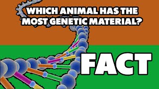 Which Animal Has The Most Chromosomes? FACT!!!