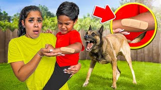 OUR NEW DOG ATTACKED OUR SON ZAKYIUS…