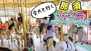 【那須旅行】愛犬と一緒に！りんどう湖ファミリー牧場で童心に帰る