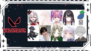 【Valorantカスタム】初🎊ヴァロカスタムに参戦✨絶対に勝つ！【甘ヶ咲あめ / ぱらすと！】