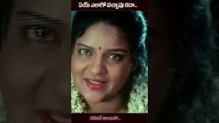 ఏయ్ ఎలాగో వచ్చావు కదా  కమిట్ అయిపో  #Venumadhav #MS Narayana #youtubeshorts #video #comedy #shorts