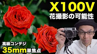 【高級コンデジX100V】自宅花撮影のポテンシャルは？【35mm単焦点】#4K