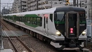 JR東日本E257系OM-52編成特急花咲く鎌倉あじさい号青梅駅行き東中神駅通過(2023/6/10)