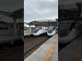 三班3000交會！314次 117次新自強號接連進入潮州站（交會313次） train 台鐵 automobile railway travel 火车 rail shorts