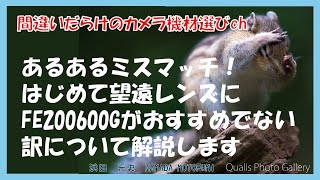 間違いだらけのカメラ機材選びch 「あるあるミスマッチ！はじめて望遠レンズにFE200600Gがおすすめでない訳について解説します」